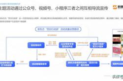 教育行业品牌矩阵运营评估报告