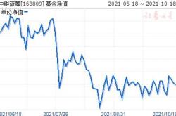 交银新动力混合基金净值