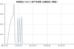 华联股份（000882）投资分析报告