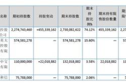 新湖中宝股份有限公司投资分析报告