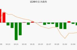 电投资本控股