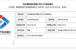 股权公开挂牌转让华鑫信托被二股东清仓