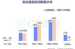 小红书营销分析