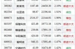 屹通新材料能涨多少