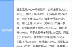 通宝能源股票投资分析与策略建议