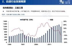 胜利精密股票投资分析报告