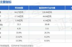 百龙创园上市首日股价预测