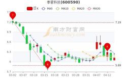 泰豪科技股票投资分析与策略建议