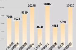 中德安联保险评估，全面解析其优势与潜在价值