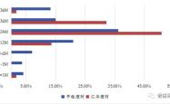 上海平安保险公司的投资理财策略与产品分析