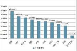 东方园林股份有限公司的投资分析与前景展望