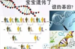 女性生育保险，全面了解与智慧规划