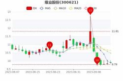 国脉科技股票分析与投资策略