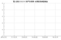 002639雪人股份的投资价值分析