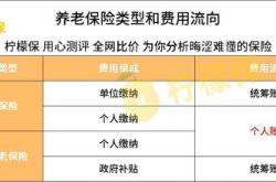 企业养老保险缴费比例详解及影响因素