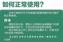 养老保险金查询指南，保障未来，从了解开始