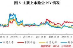 三元股份有限公司投资分析报告