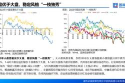 龙飞虎股票，深度解析与投资建议