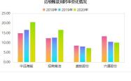 恒宝股份有限公司投资分析报告