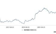 投资策略与市场表现