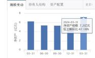 市场动态与投资策略