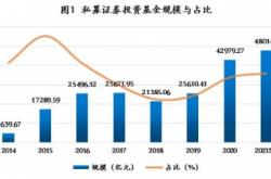 投资价值分析与未来展望