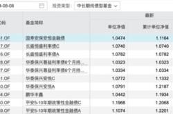 国联证券中签号解析与投资策略