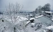 上海下雪了，城市雪景下的生活与感悟