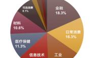 深入解读大立科技股票，投资机遇与挑战