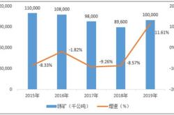 投资分析与前景展望