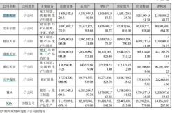 天齐锂业股票，投资前景与深度解析