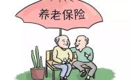 社会养老保险制度的全面解析