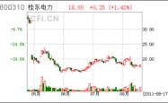 深入解读600310桂东电力，投资价值与未来前景