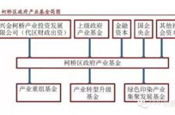 ppp基金入股比例