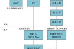 境外投资境内基金