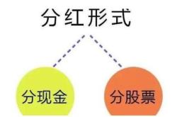 基金分红有什么意义