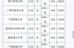 文科体育专业录取分数线解析