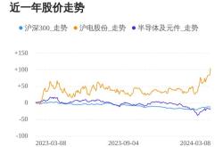 中电新能源有限公司