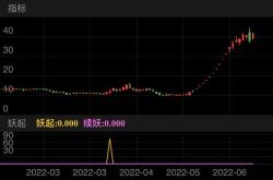 海木集团是干什么的