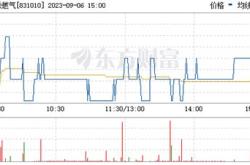 深圳燃气股票最新行情分析