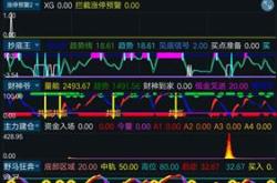 软件股票为什么涨这么多