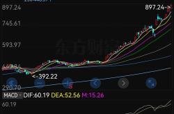 英伟达q2营收1153亿美元同比增长5