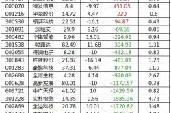 华康股份遭遇主力资金净卖出市场动态与投资策略分析