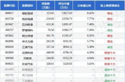 科创板基金波动解析鹏华上证科创板基金的涨跌与份额变动