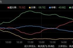 沪科股票主力资金净卖出深度分析