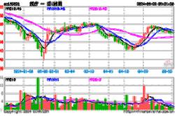 龙头风格受迎增资金流入