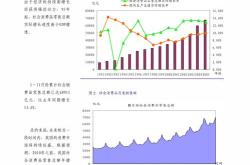 1.中国经济的现状及展望