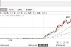 金鹰基金深入调研新亚电子与顺博合金的发展潜力与市场前景