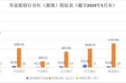 民生银行引领股份制银行中期分红新趋势，六大行共绘分红蓝图