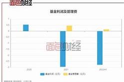 上海电影股价重挫海富通股票混合基金的持仓挑战与市场分析